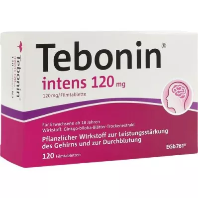 TEBONIN intens 120 mg Filmtabletten, 120 St