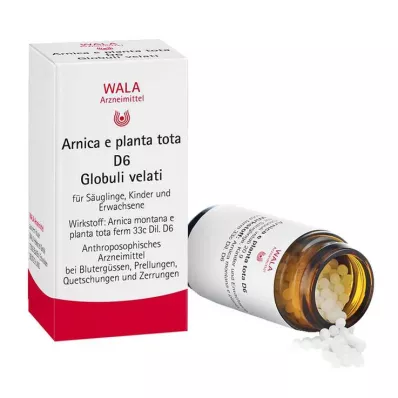 Arnica E Planta tota D 6 Globuli, 20 g