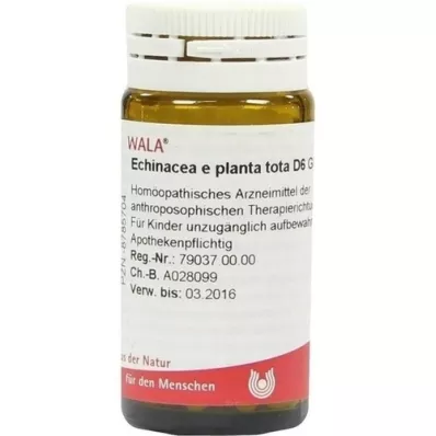 ECHINACEA E planta tota D 6 Globuli, 20 g