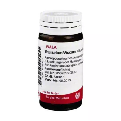 EQUISETUM/VISCUM Globuli, 20 g