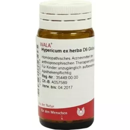 HYPERICUM EX Herba D 6 Globuli, 20 g