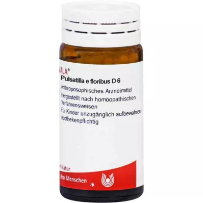 PULSATILLA E floribus D 6 Globuli, 20 g