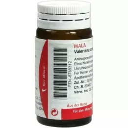 VALERIANA COMP.Globuli, 20 g