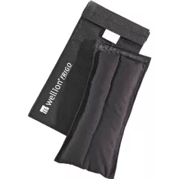 WELLION FRIGO L med cooler bag, 1 St