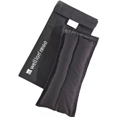 Wellion Frigo L med cooler bag, 1 St