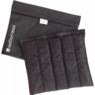 Wellion Frigo XXL med cooler bag, 1 St Wellion Frigo XXL med cooler bag, 1 St