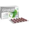 GINGIUM 40 mg Filmtabletten, 120 St