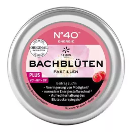 ENERGIE BACHBLÜTENPASTILLEN nach Dr.Bach, 50 g