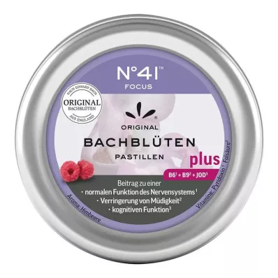 KONZENTRATION Bachblütenpastillen nach Dr.Bach, 50 g