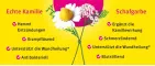 Instructions for use for Kamillan® flüssig, 10 ml - 2