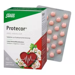 PROTECOR Herz-Kreislauf Tabl.z.Funktionsunt.Salus, 250 St