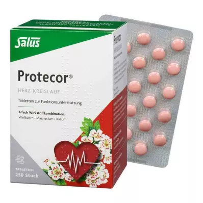 PROTECOR Herz-Kreislauf Tabl.z.Funktionsunt.Salus, 250 St