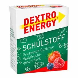 DEXTRO ENERGY Schulstoff Waldfrucht Täfelchen, 50 g