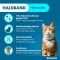 SERESTO Halsband f.Katzen, 1 St