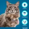 SERESTO Halsband f.Katzen, 1 St