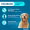 SERESTO 4,50g + 2,03g Halsband für Hunde ab 8kg, 1 St