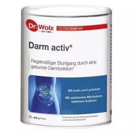 DARM ACTIV Dr.Wolz Pulver, 400 g