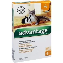ADVANTAGE 40 mg Lsg.f.kl.Katzen/kl.Zierkaninchen, 4X0.4 ml
