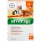 ADVANTAGE 40 mg Lsg.f.kl.Katzen/kl.Zierkaninchen, 4X0.4 ml