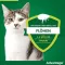 ADVANTAGE 40 mg Lsg.f.kl.Katzen/kl.Zierkaninchen, 4X0.4 ml