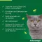ADVANTAGE 40 mg Lsg.f.kl.Katzen/kl.Zierkaninchen, 4X0.4 ml