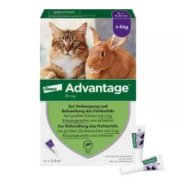 ADVANTAGE 80 mg f.gr.Katzen u.gr.Zierkaninchen, 4X0.8 ml