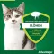 ADVANTAGE 80 mg f.gr.Katzen u.gr.Zierkaninchen, 4X0.8 ml