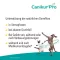 Canikur Pro vet. Paste, 60 ml