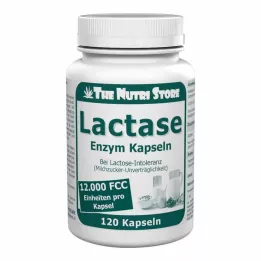 LACTASE 12.000 FCC Enzym Kapseln, 120 St
