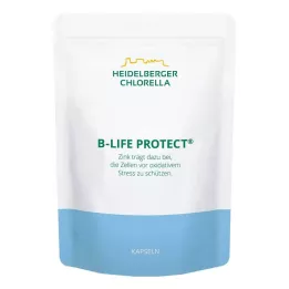 B-LIFE Protect Kapseln, 360 St