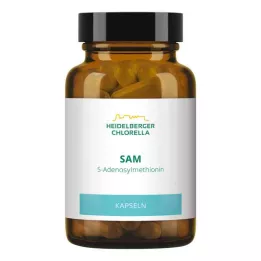 SAM S-ADENOSYLMETHIONIN Kapseln, 60 St