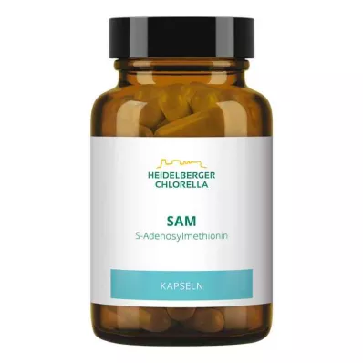 SAM S-ADENOSYLMETHIONIN Kapseln, 60 St