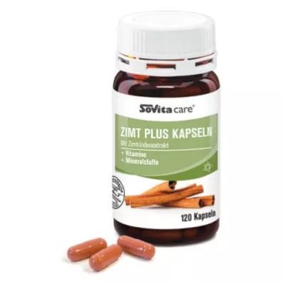 Sovita care Zimt Plus Kapseln (120 stk)