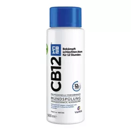 CB12 Mund Spüllösung, 500 ml