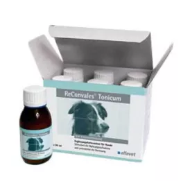 RECONVALES Tonicum für Hunde, 6X90 ml