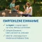 Magnesium Diasporal 400 Extra Kapseln, 20 St