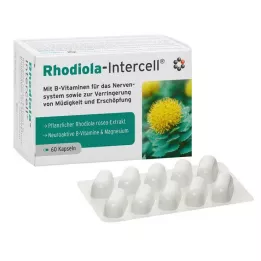 RHODIOLA-INTERCELL Kapseln, 60 St