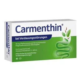 Carmenthin bei Verdauungsstörungen, 42 St