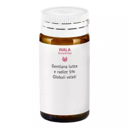 GENTIANA LUTEA 5% Urtinktur Globuli velati, 20 g