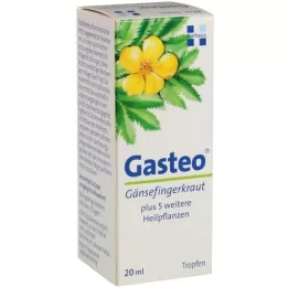 GASTEO Tropfen zum Einnehmen, 20 ml
