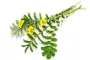 Instructions for use for GASTEO Tropfen bei Magen-Darm-Beschwerden, 20 ml - 8
