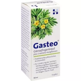 GASTEO Tropfen zum Einnehmen, 50 ml