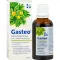 GASTEO Tropfen zum Einnehmen, 50 ml