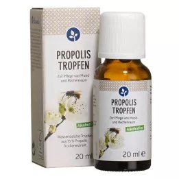 PROPOLIS TROPFEN ohne Alkohol, 20 ml