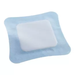 VLIWASORB Pro superabsorb.Komp.steril 22x22 cm, 10 St