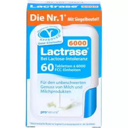 LACTRASE 6.000 FCC Tabletten im Klickspender, 60 St