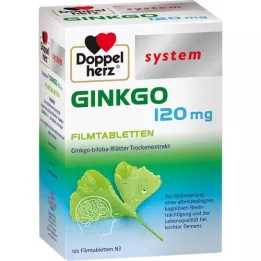 DOPPELHERZ Ginkgo 120 mg system Filmtabletten, 120 St