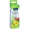 KNEIPP Arnika Salbe S, 20 g