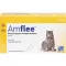 AMFLEE 50 mg Spot-on Lösung z.Auftropfen f.Katzen, 3 St