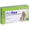 AMFLEE 134 mg Spot-on Lsg.f.mittelgr.Hunde 10-20kg, 3 St